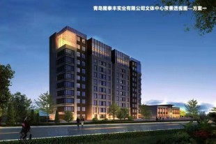 青島隆泰豐實業有限公司文體中心項目